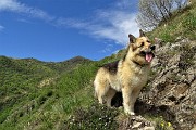 44 Alle spalle di Dori spunta la cima del Cornizzolo